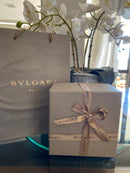 RELÓGIO SERPENTI TUBOGAS